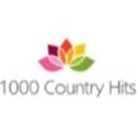 1000 Country Hits