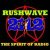 Rushwave 2112 Radio