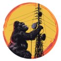 The Gorilla
